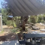 度假居 Maison 4 Avec Wifi Et Animaux Acceptes A 200m De La - Fr-1-22-304