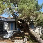 Maison 4 Avec Wifi Et Animaux Acceptes A 200m De La - Fr-1-22-304 * 滨海拉特朗什