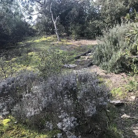 Maison 4 Avec Wifi Et Animaux Acceptes A 200m De La - Fr-1-22-304 La Tranche-sur-Mer
